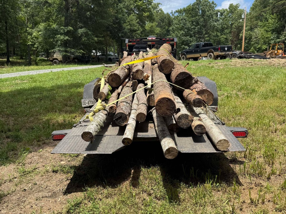 Logs loaded and strapped on a trailer