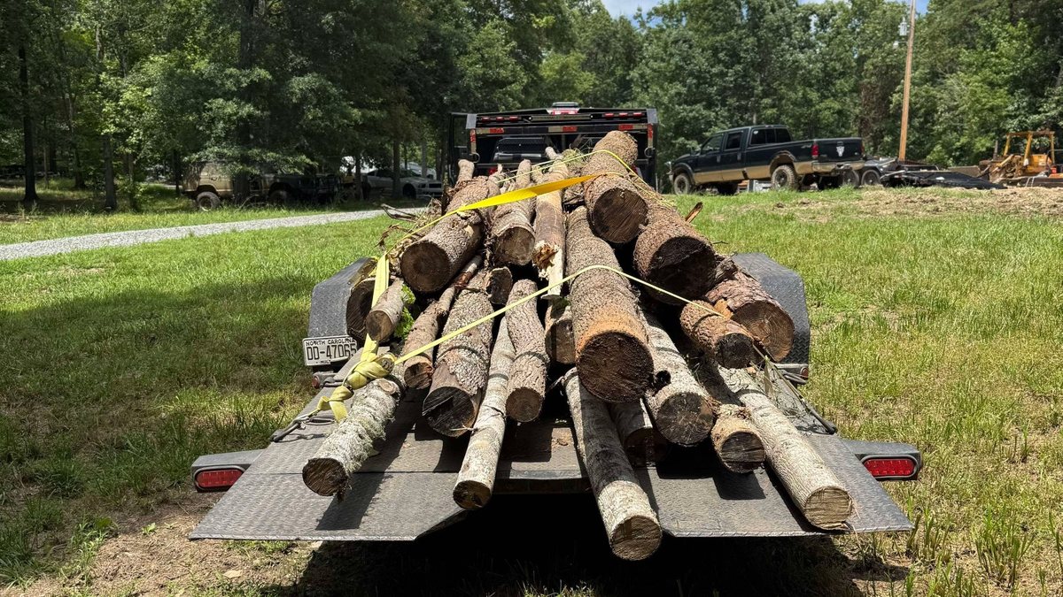 Logs loaded on a trailer after tree removal work